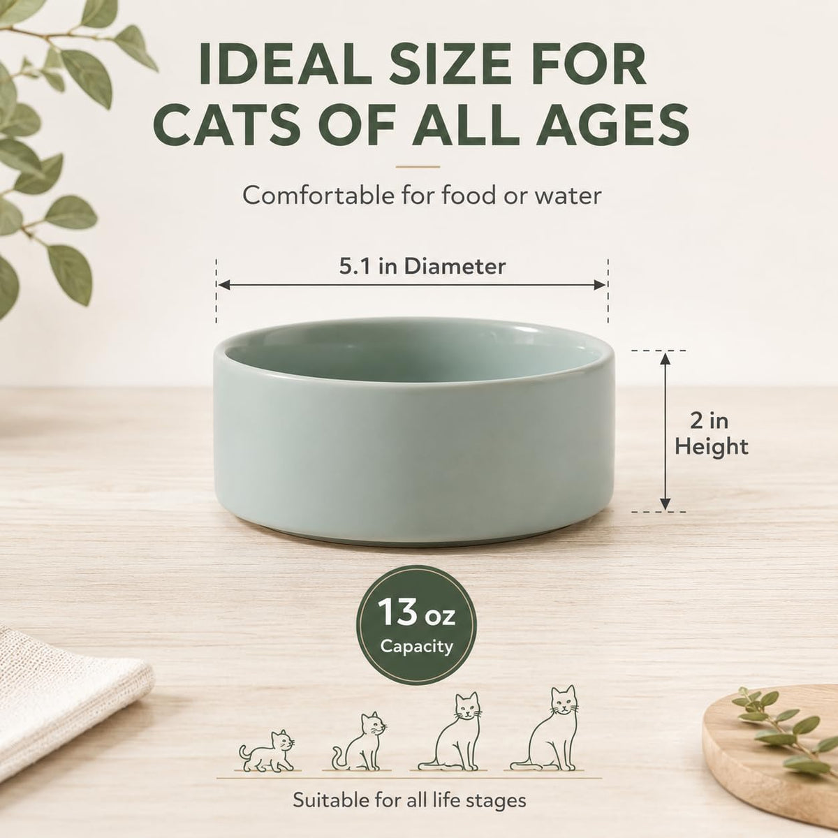 Havniva Cat Bowls Set of Two, 5.1” Ceramic Cat Food and Water Bowls | Cat Food Bowls Whisker Friendly, Non-Slip Base, Food-Grade Ceramic, Wide Opening, Dishwasher Safe, Cat Bowls for Indoor Cats