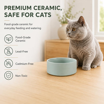 Havniva Cat Bowls Set of Two, 5.1” Ceramic Cat Food and Water Bowls | Cat Food Bowls Whisker Friendly, Non-Slip Base, Food-Grade Ceramic, Wide Opening, Dishwasher Safe, Cat Bowls for Indoor Cats