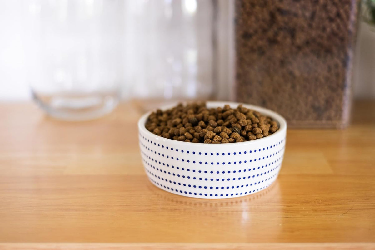 Pearhead Ceramic Cat Bowl, Holds 12 oz, Blue Dots | Whisker-Friendly Pet Dish for Food and Water, Ceramic Pet Bowl, Dog or Cat Feeding, Modern Pet Home Decor, Pet Parent Gift