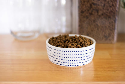 Pearhead Ceramic Cat Bowl, Holds 12 oz, Blue Dots | Whisker-Friendly Pet Dish for Food and Water, Ceramic Pet Bowl, Dog or Cat Feeding, Modern Pet Home Decor, Pet Parent Gift
