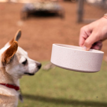 Loving Pets - Dolce Bamboo - Eco-Friendly Pet Bowls & Dishes for Dog, Cats, Puppy Food and Water Dish -Sustainable and Dishwasher Safe, Made with Real Bamboo (Small, Oat-Beige)