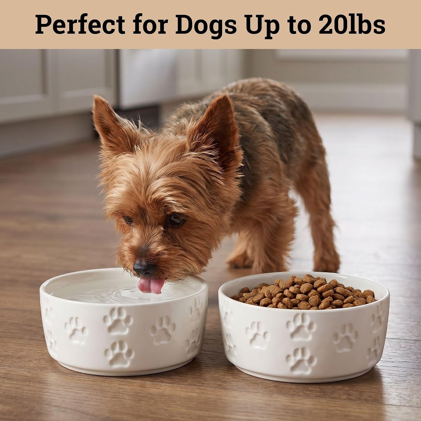 Ceramic Dog Bowl Set of 2 with Anti-Skid Base, 5.5"W x 2"H, 2 Cup Capacity | Thick Ceramic, Dishwasher Safe, Anti-Skid Rubber Base, 2 Cups per Bowl, Ceramic Food and Water Bowls Set of 2 for Small Dogs
