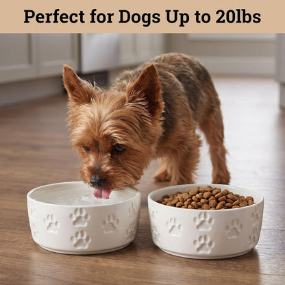 Ceramic Dog Bowl Set of 2 with Anti-Skid Base, 5.5"W x 2"H, 2 Cup Capacity | Thick Ceramic, Dishwasher Safe, Anti-Skid Rubber Base, 2 Cups per Bowl, Ceramic Food and Water Bowls Set of 2 for Small Dogs