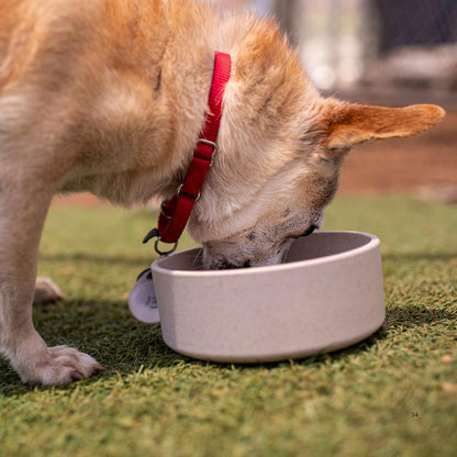 Loving Pets - Dolce Bamboo - Eco-Friendly Pet Bowls & Dishes for Dog, Cats, Puppy Food and Water Dish -Sustainable and Dishwasher Safe, Made with Real Bamboo (Small, Oat-Beige)