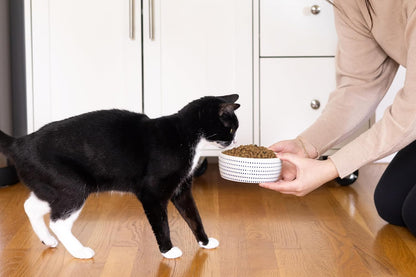 Pearhead Ceramic Cat Bowl, Holds 12 oz, Blue Dots | Whisker-Friendly Pet Dish for Food and Water, Ceramic Pet Bowl, Dog or Cat Feeding, Modern Pet Home Decor, Pet Parent Gift